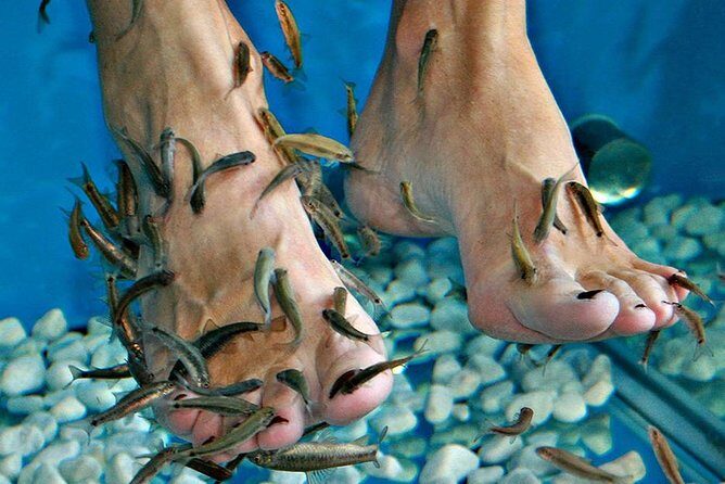 Fish Spa, Beach Break with Lounge Chairs, Umbrellas & Beach Area - A Closer Look at the Experience in Cozumel