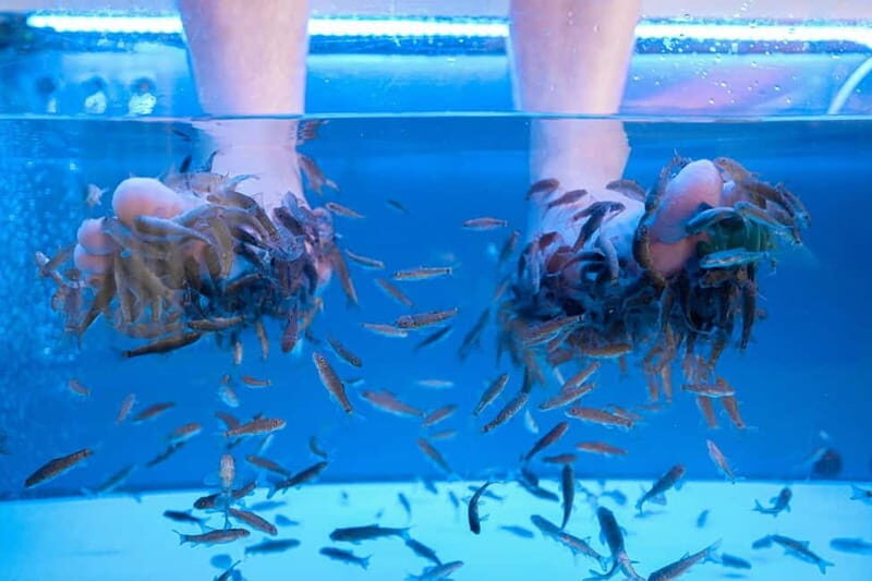 Fish Spa Experience Playa Fañabe - Fish Spa Experience Playa Fañabe
