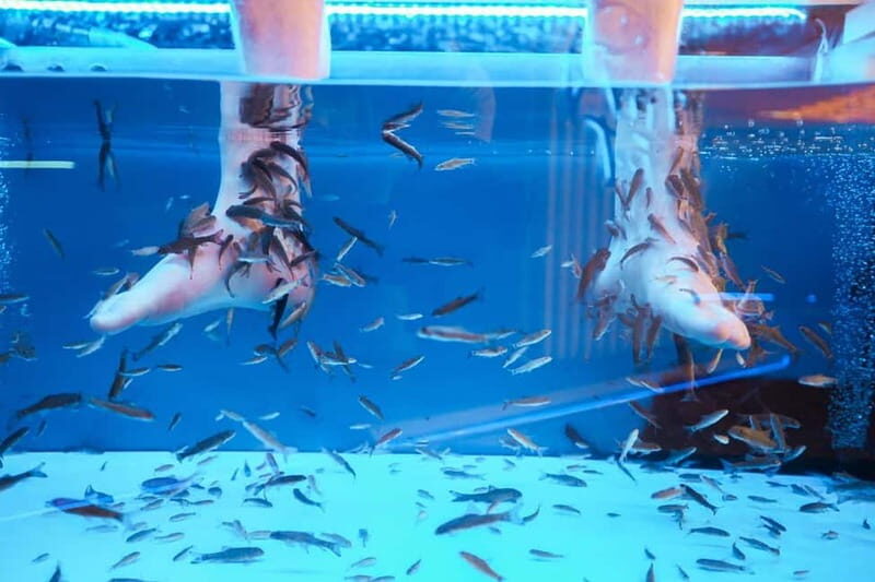 Fish Spa Experience Playa Fañabe - Who Will Love This?