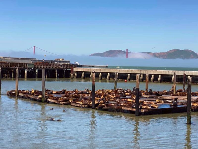Fishermans Wharf Highlights Tour + Golden Gate Bay Voyage - A Walk Through San Francisco’s Waterfront Stories and Sights