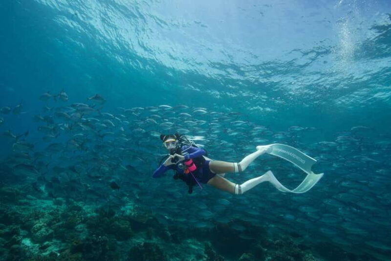 Fisheye Divers: Advanced Open Water Course - Final Thoughts