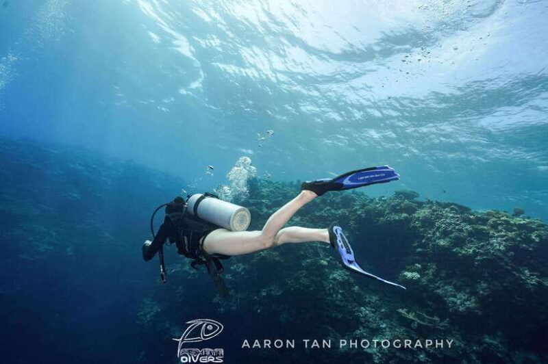 Fisheye Divers: PADI Open Water Course - An In-Depth Look at the Experience