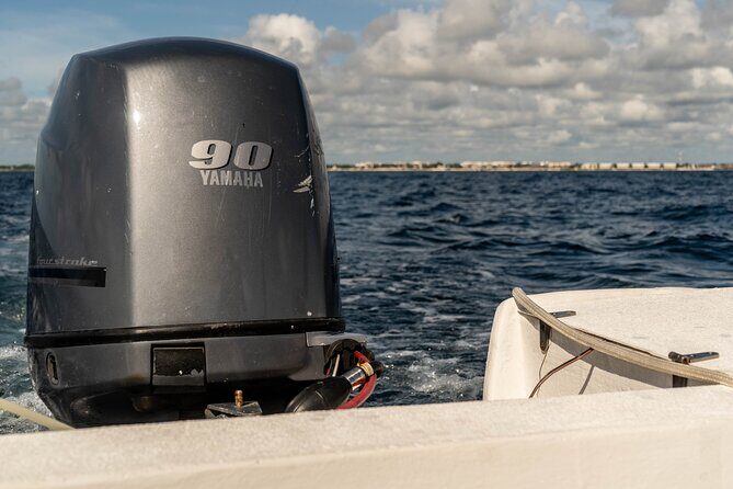 Fishing Adventure in Puerto Morelos with 26-foot Boat - Frequently Asked Questions (FAQs)