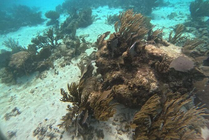 Fishing and snorkeling on the costa maya 4 hours - Key Points