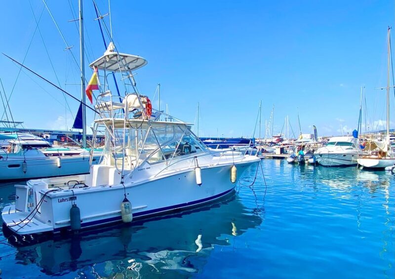 fishing charter 4h - Why This Tour Offers Great Value