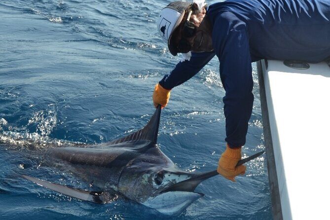 Fishing Charter In Tamarindo With Food & Beverages - An In-Depth Review of the Tamarindo Fishing Charter Experience