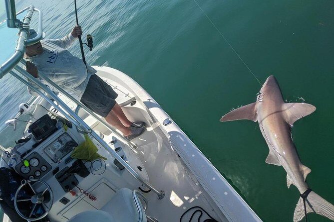 Fishing Charters - Fort Myers Beach / Naples - The Experience in Detail: What You Can Expect