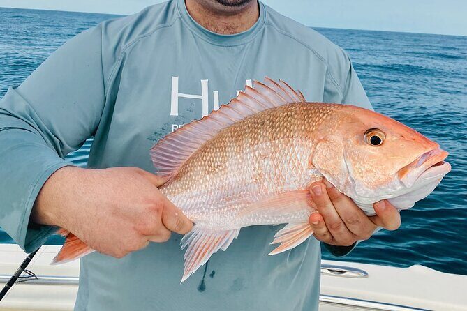 Fishing Charters in Clearwater Beach Florida - Key Points