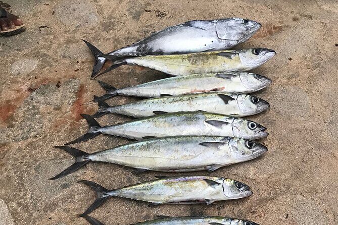 Fishing in Waikiki - Key Points