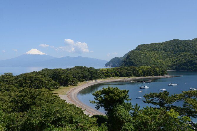 Fishing Tour Experience in Heda Numazu Shizuoka - Key Points