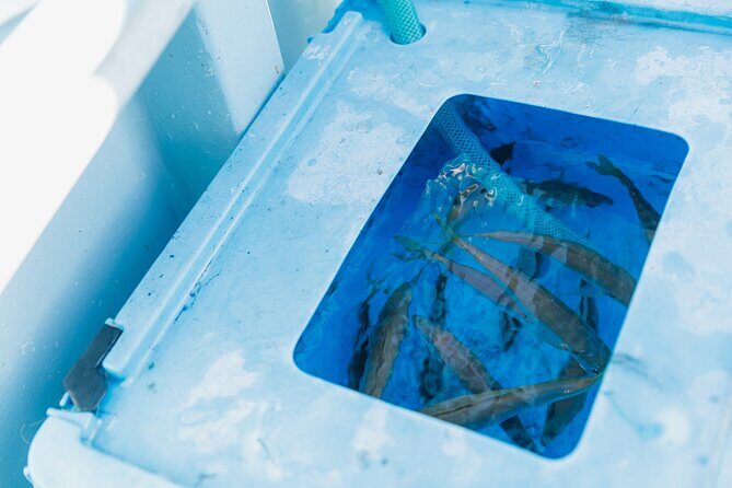 Fishing Tour Experience in Heda Numazu Shizuoka - Authentic Experiences and Practical Tips