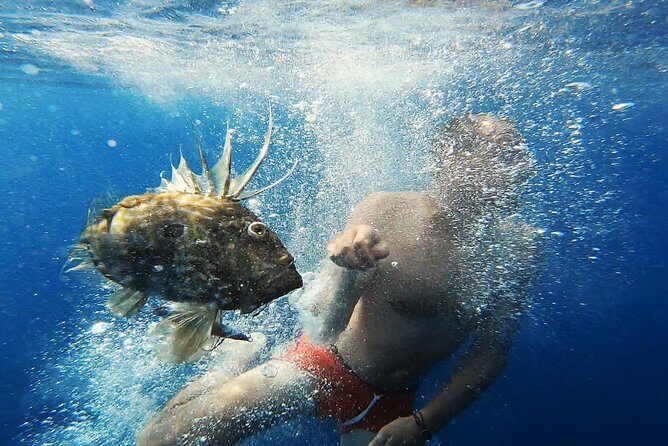 FISHING Tour to VIS and BIEVO Islands - Full Day Experience - FAQ