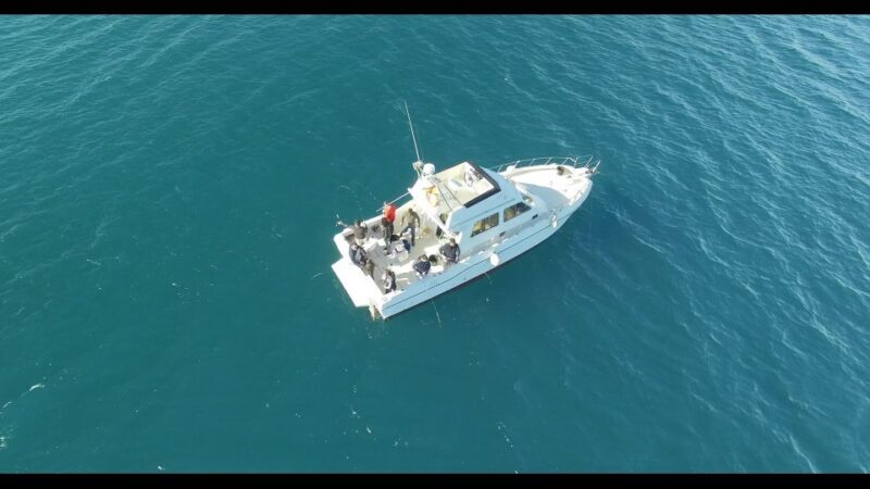 Fishing Trip all included - An Honest Look at the Alicante Fishing Trip