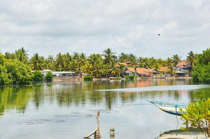 Fishing Village & Mangrove Tour Experince at Negombo (Starting from Colombo) - Key Points