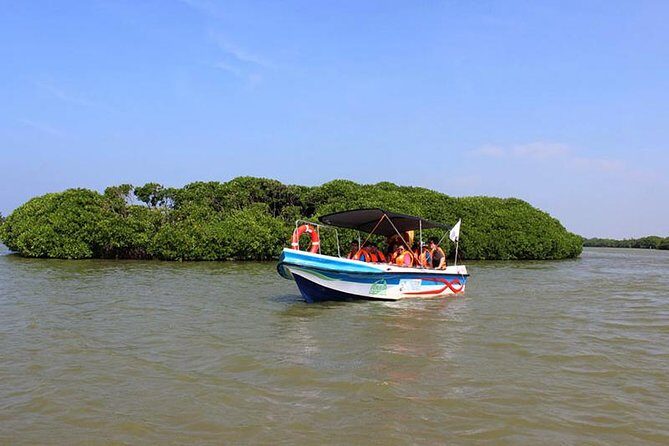 Fishing Village & Mangrove Tour Experince at Negombo (Starting from Colombo) - Who Is This Tour Best For?