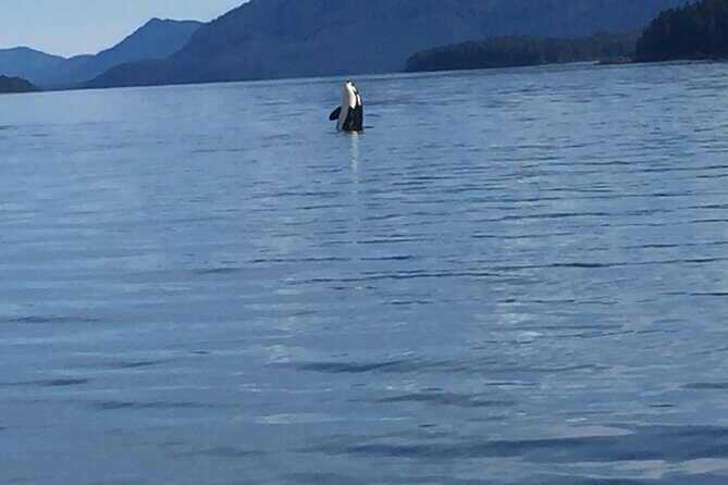 Fishing Whale Watching Hoonah Alaska - Experience the Best of Hoonah: Whale Watching and Fishing Adventure