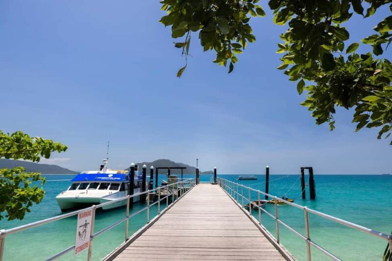 Fitzroy Island: Full-Day Ferry & Snorkel Safari Guided Tour - A Detailed Look at the Fitzroy Island Experience