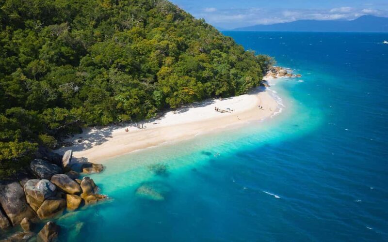 Fitzroy Island: Full-Day Ferry & Snorkel Safari Guided Tour - Who Will Love This Tour