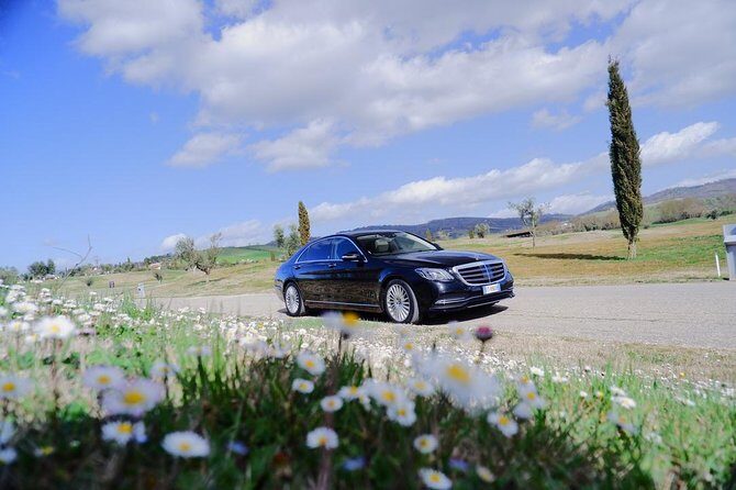 Fiumicino-Rome transfer, only Mercedes 2025 Sprinter L V S - Key Points