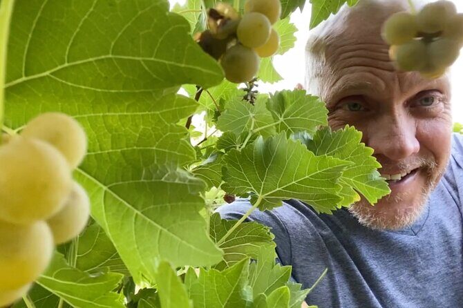 Five Star AZ Wine Crawler Tour 4- 12 PPL - The Cost and Value