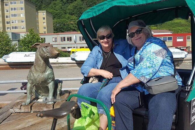 Five-Star Juneau Pedicab Private Tour - Key Points