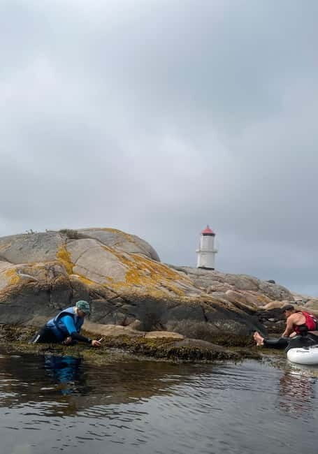 Fjällbacka: Seaweed Picking and SUP Paddling Tour - Key Points