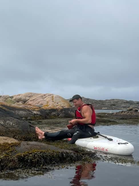 Fjällbacka: Seaweed Picking and SUP Paddling Tour - Exploring the Fjällbacka Seaweed and SUP Tour in Detail