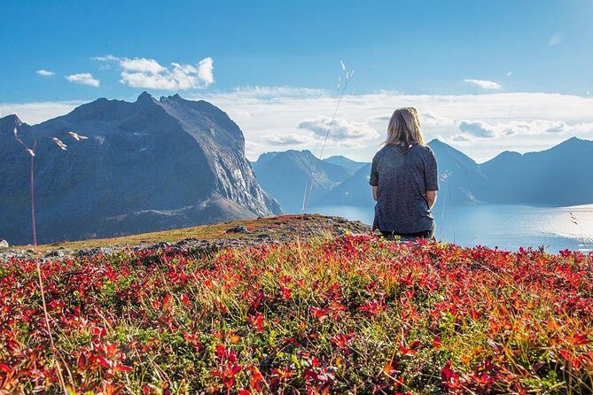 Fjord Expedition: Arctic Adventure Awaits - FAQ: Your Practical Questions Answered