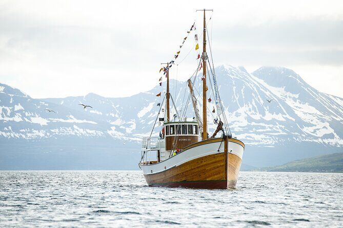 Fjord & History Cruise - Final Thoughts