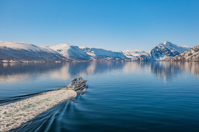 Fjord Safari in the Altafjord - Fjord Safari in the Altafjord: A Genuine Arctic Waterway Adventure