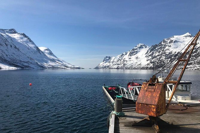 Fjord Sightseeing - Eco friendly Tesla Model X - Key Points