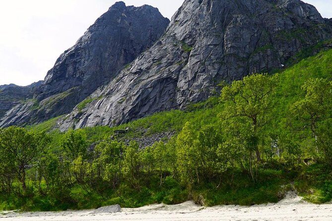 Fjord Sightseeing - Eco friendly Tesla Model X - FAQs
