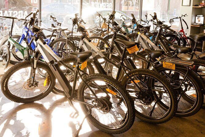 Flagstaff Electric Bike Rental - Why Choose the Flagstaff Electric Bike Experience?