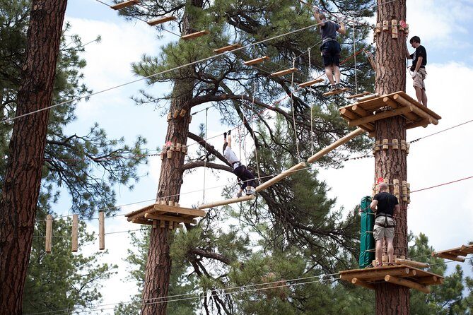 Flagstaff Extreme Adventure Course-Adult Course - Exploring the Flagstaff Extreme Adventure Course in Detail
