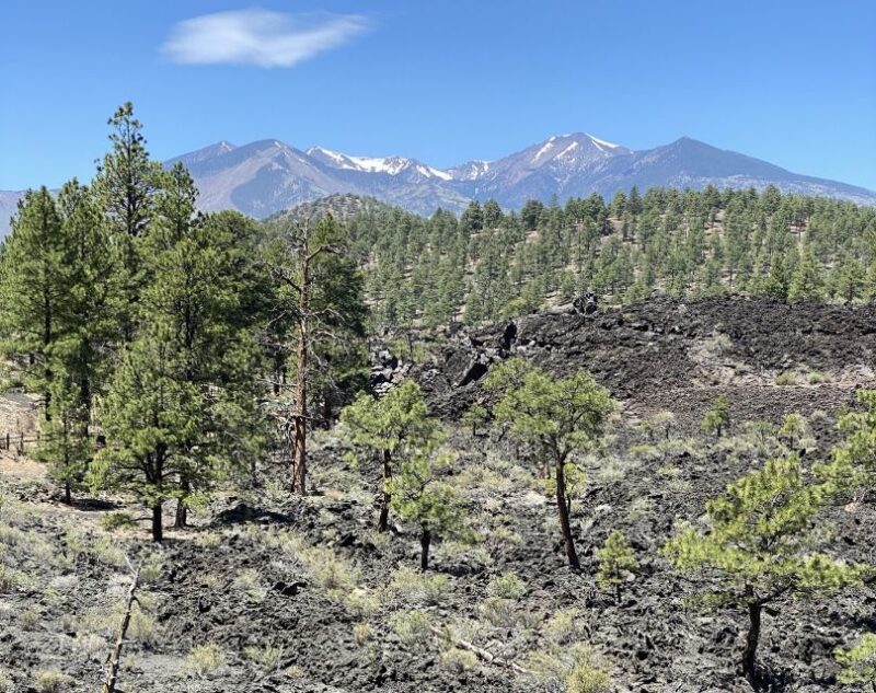 Flagstaff: Grand Canyon, Wupatki & Volcano Christian Tour - Why This Tour Stands Out