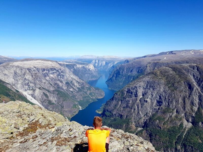 Flåm: Borgund Stave Church, Lærdal, and Stegastein Tour - The Practical Side: What’s Included and What’s Not