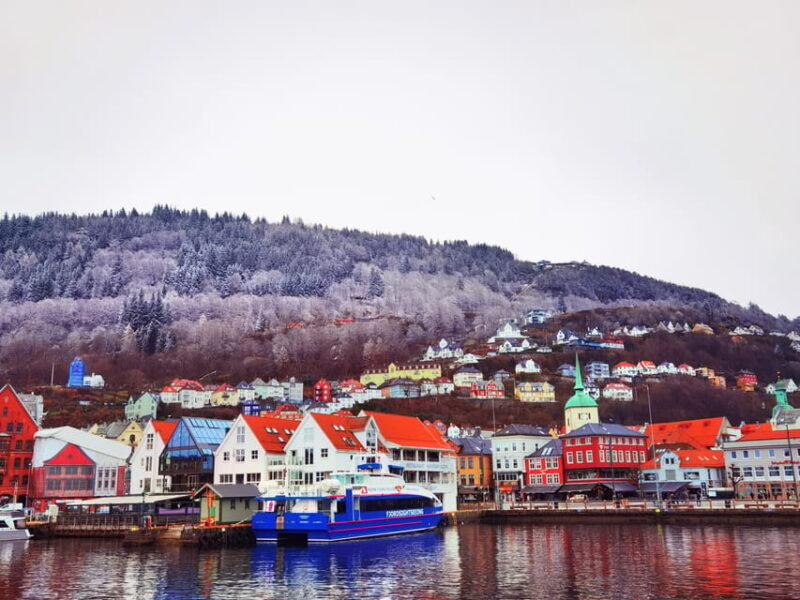 Flåm Flexible Tour with Stegastein, cruise and train include - Discovering Norway’s Fjords on Your Terms
