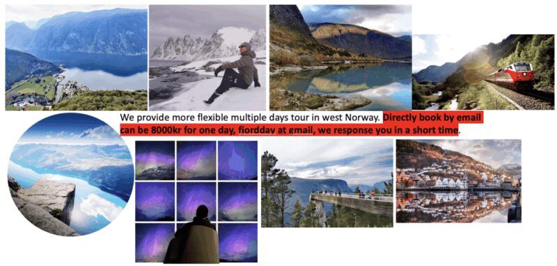 Flåm Flexible Tour with Stegastein, cruise and train include - Exploring Scenic and Less-Trodden Spots