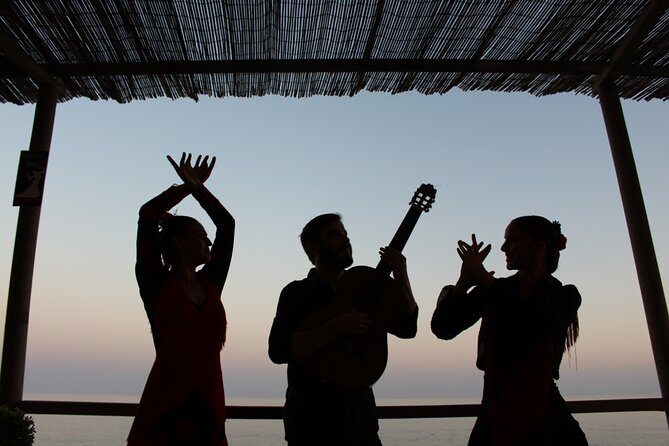 Flamenco evening and barbecue by the sea at the Blue Dolphin Beach Club - An In-Depth Look at the Flamenco Evening and BBQ at Blue Dolphin Beach Club