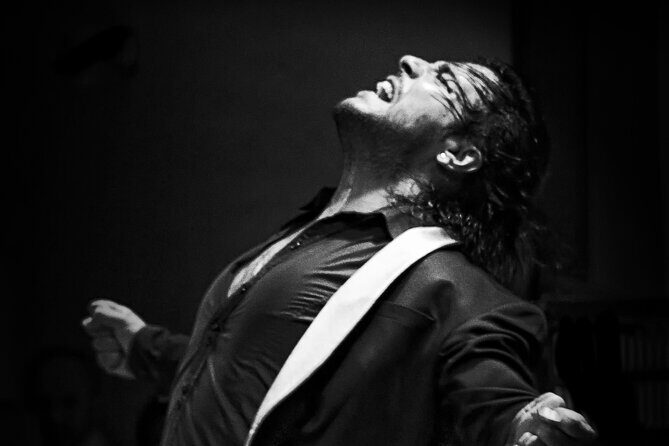 Flamenco Live Show and Dinner in Mexico City - Flamenco Live Show and Dinner in Mexico City: An Authentic Spanish Night