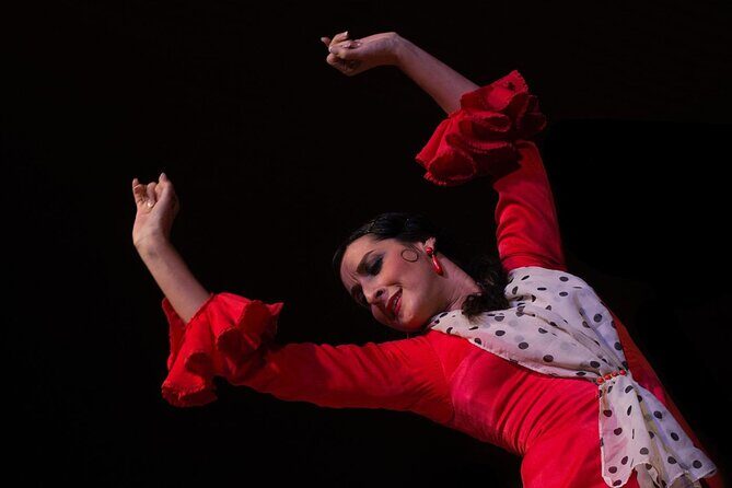 Flamenco Show in Cueva Zincalé - What to Expect During the Show