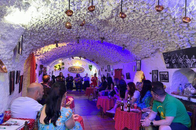 Flamenco Show in Cueva Zincalé - Who Should Consider This Tour?