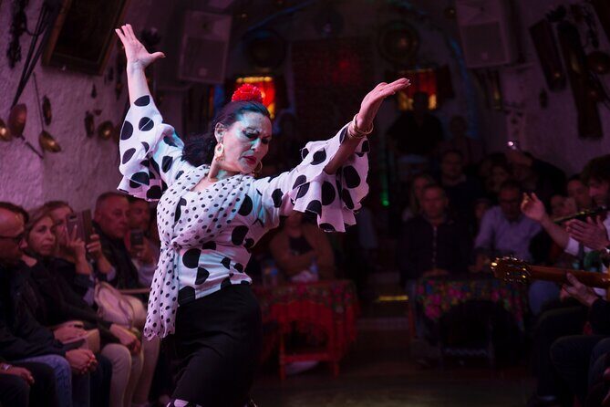 Flamenco Show in the Caves of Sacromonte - A Closer Look at the Flamenco Caves of Sacromonte Experience