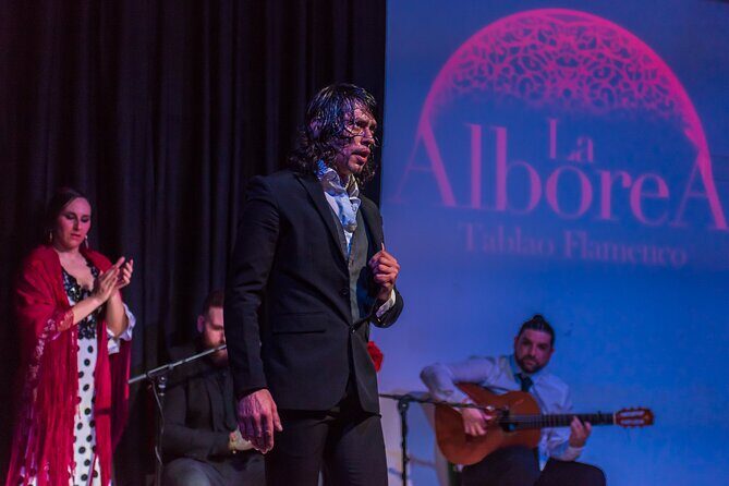 Flamenco Show in the Center of Granada - Flamenco Show in the Center of Granada
