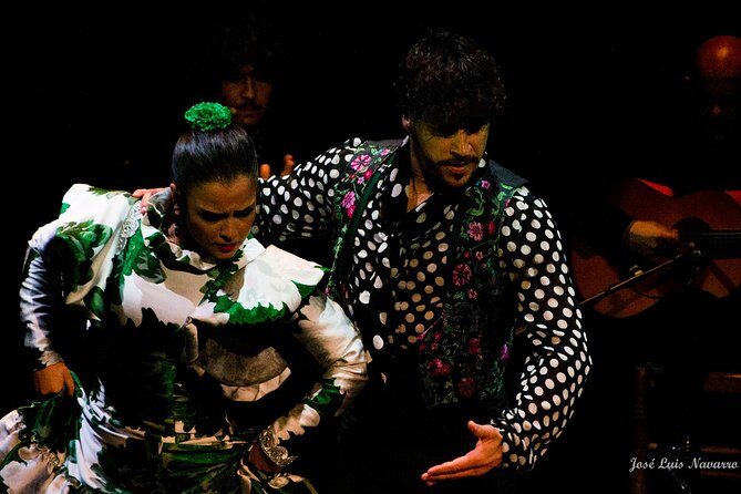 Flamenco Show Tickets to the Triana Flamenco Theater - What to Expect at the Flamenco Show in Seville