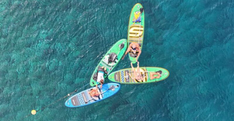 Flamingo Beach: Guided SUP and Snorkeling experience - The Experience in Detail