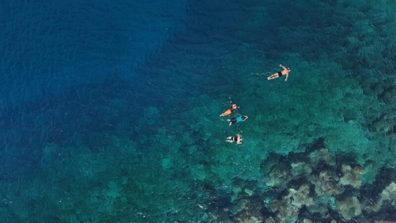 Flamingo Beach: Guided SUP and Snorkeling experience - FAQ