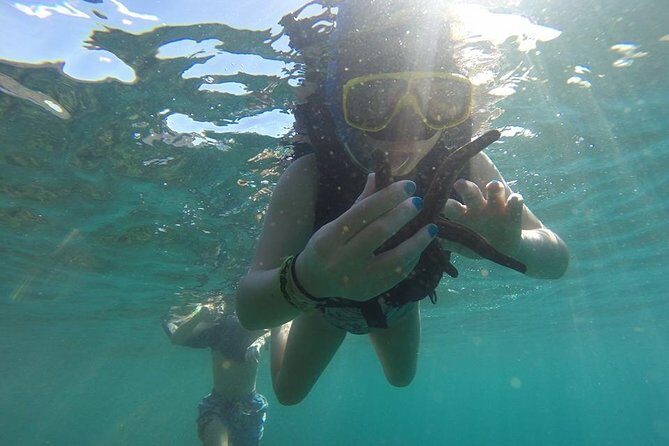 Flamingo Beach Snorkeling Boat Tour - Flamingo Beach Snorkeling Boat Tour: An Authentic Coastal Adventure