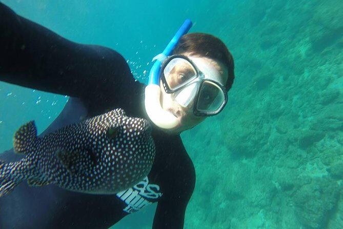 Flamingo Beach Snorkeling Boat Tour - Key Points