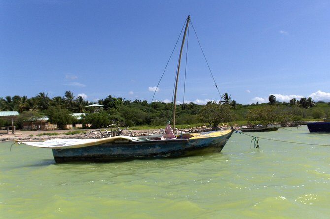 Flamingo Island - Laguna Oviedo - The Complete Breakdown: What to Expect from this Lagoon Adventure